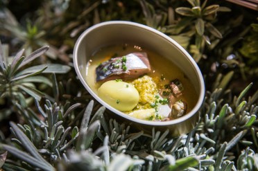 Gilda marina Disfrutar.jpg